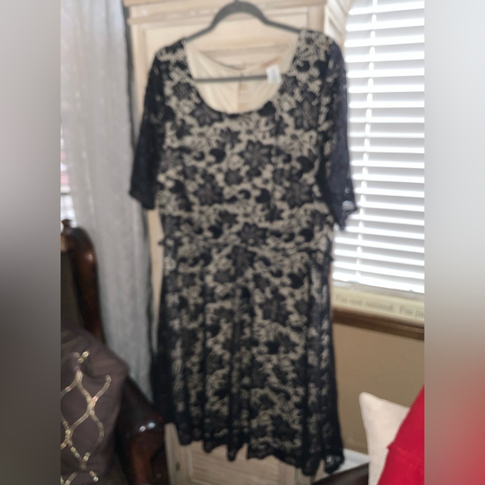 Jonette Plus Black and Cream Lace Dress